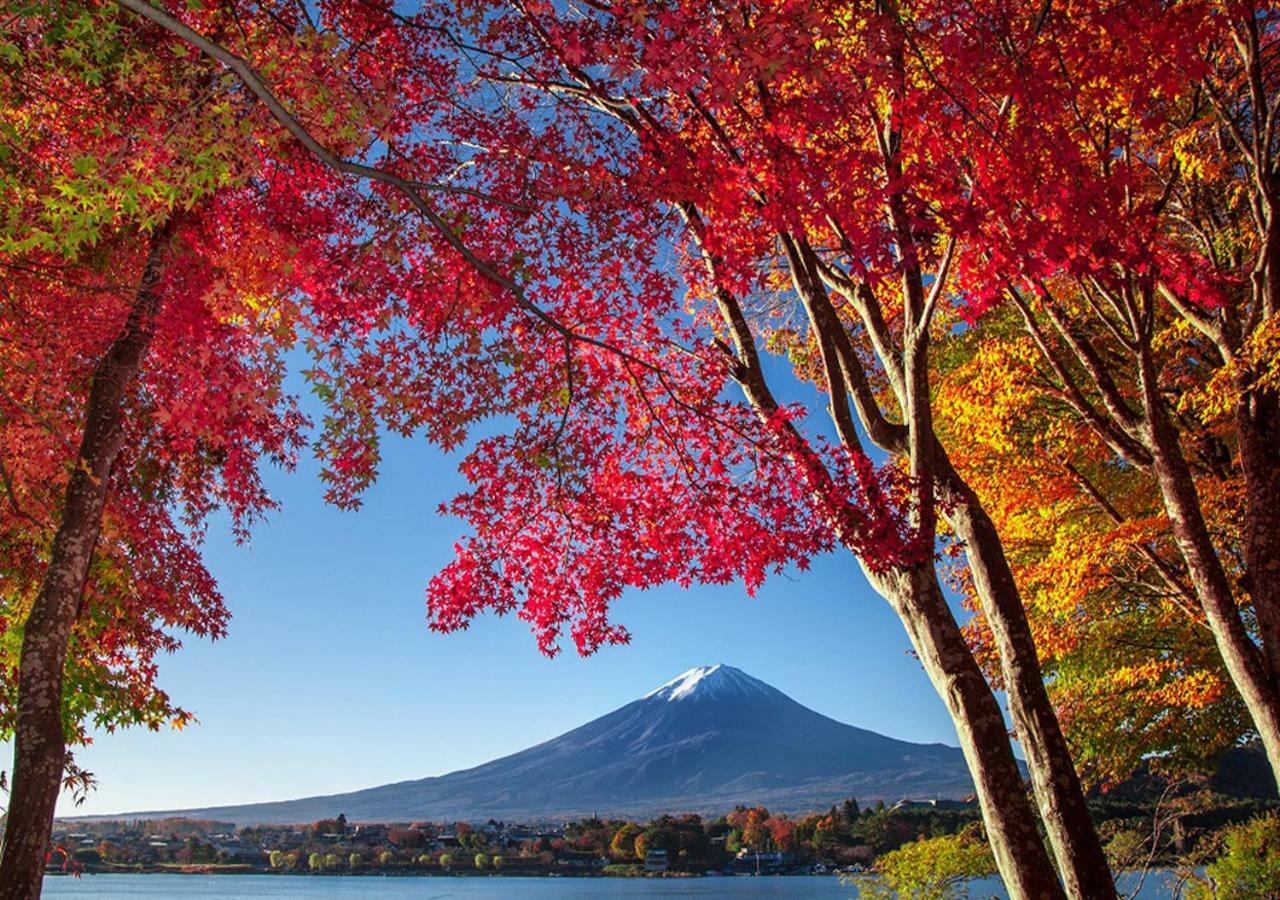 Вилла 富士山金魚 Fujisan Kingyo Фудзикавагутико Экстерьер фото